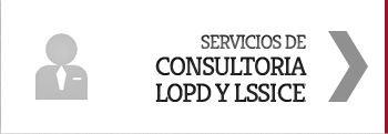 Consultoría LOPD LSSI